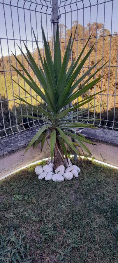 Casa Monte Beira Rio Touguinho Eksteriør billede